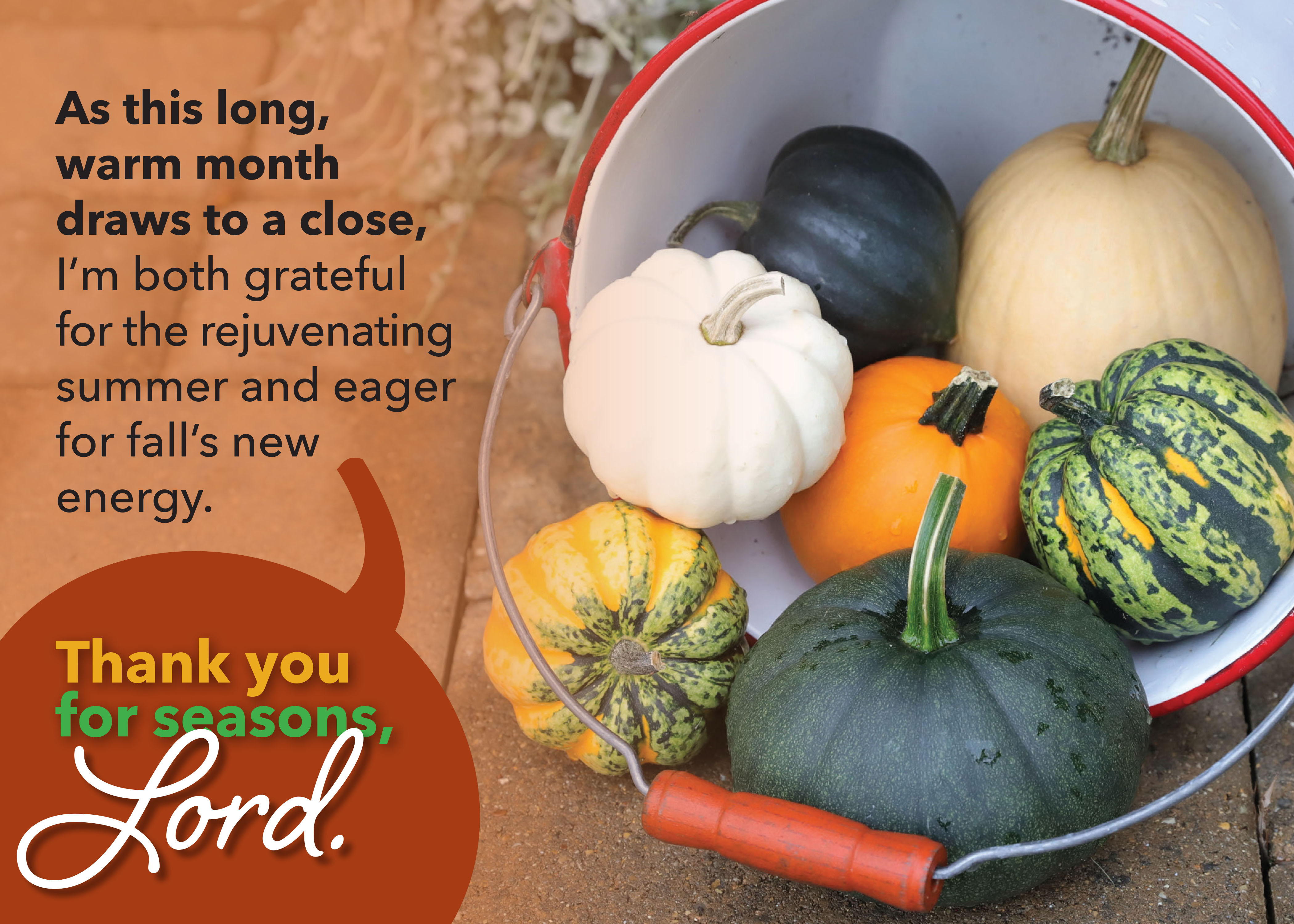 gourds_26911ac.jpg